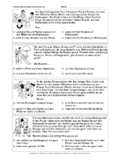 Textverständnis-Training-B-1.pdf